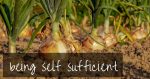 How To Be Self Sufficient | tips for being self sufficient in 2020!