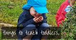 Things to teach toddlers and things NOT to teach toddlers